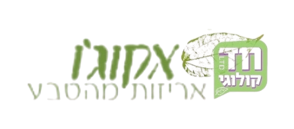אקוג׳ו - אריזות מהטבע